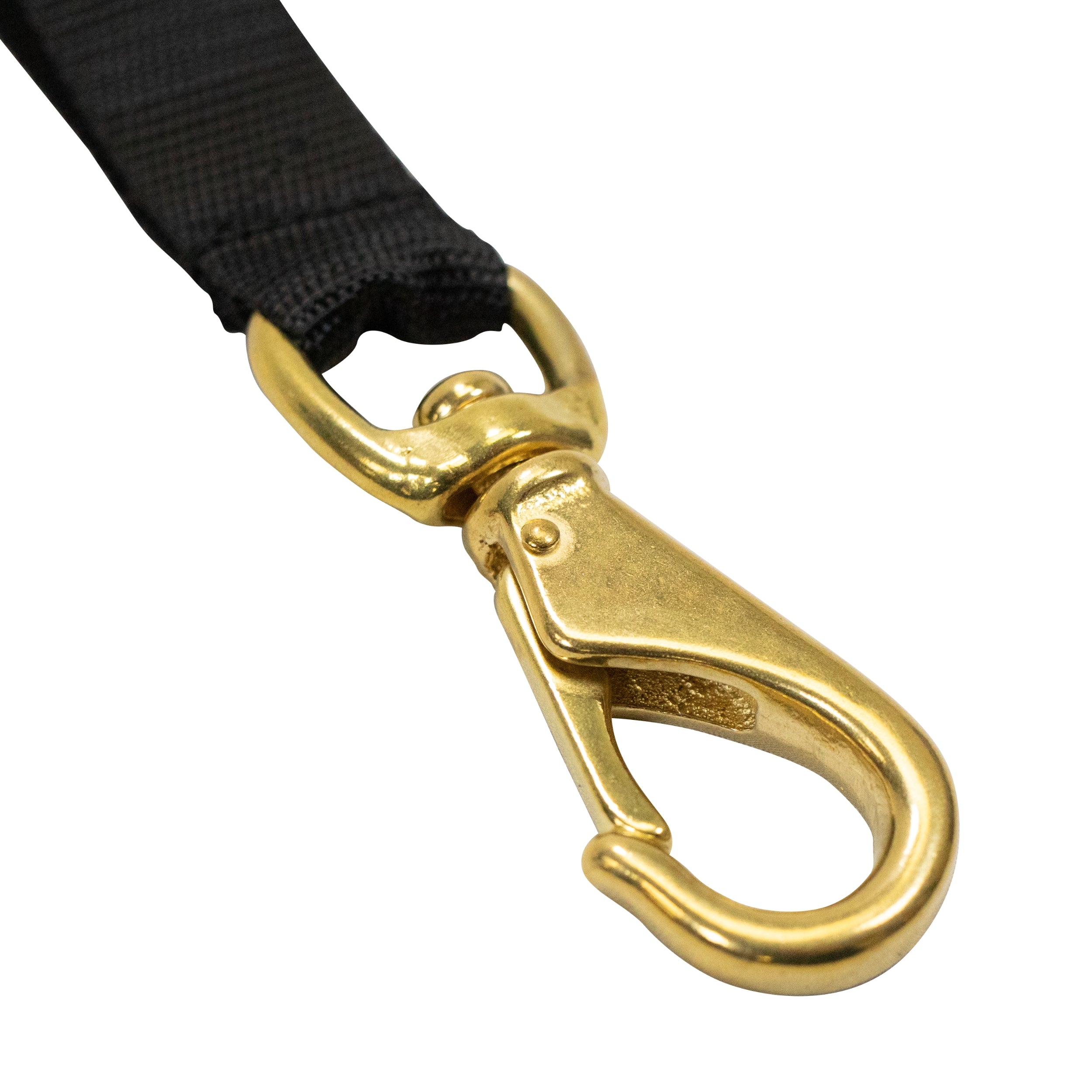 Scuba Diving 3-1/2" Brass Snap with Webbing Strap