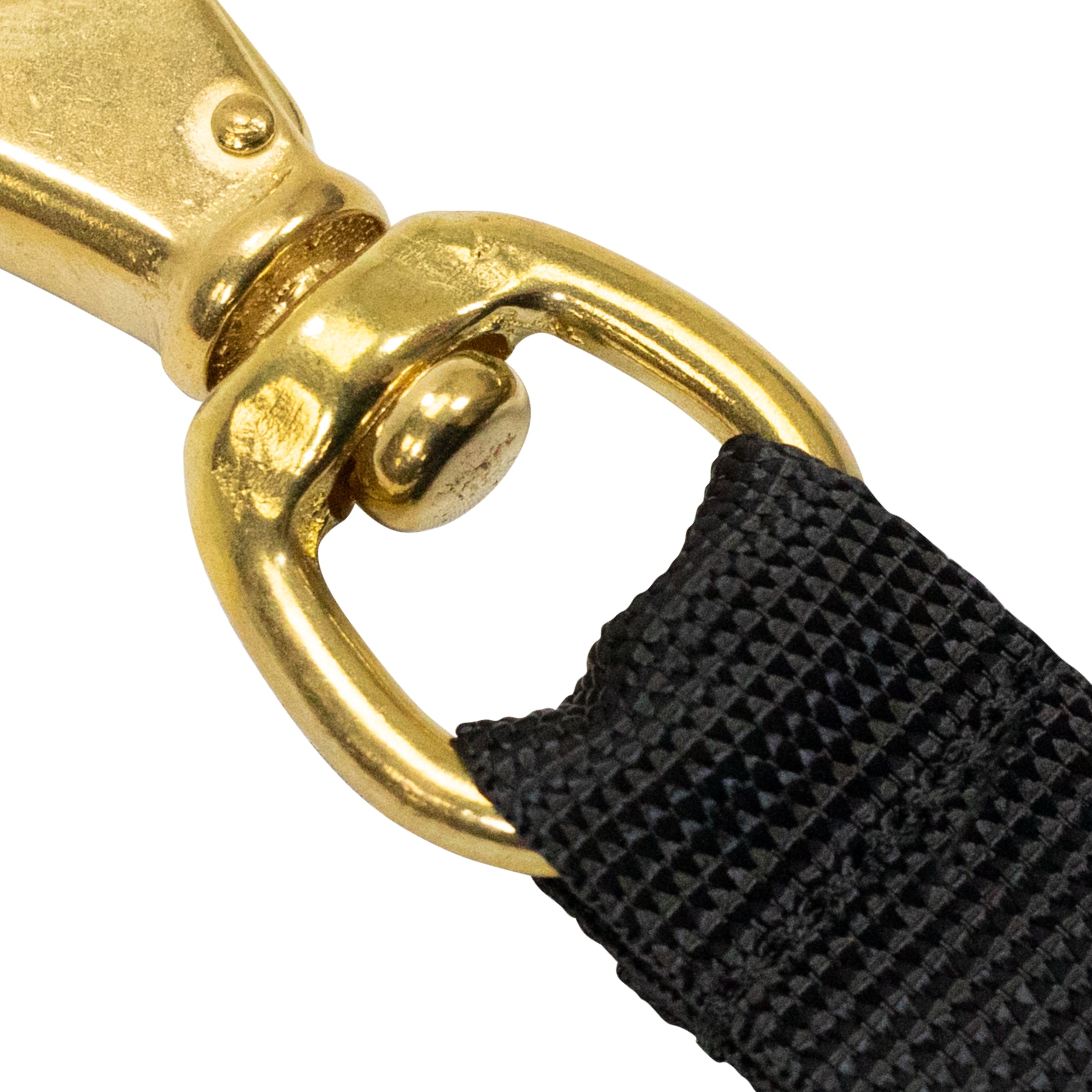 Scuba Diving 3-1/2" Brass Snap with Webbing Strap