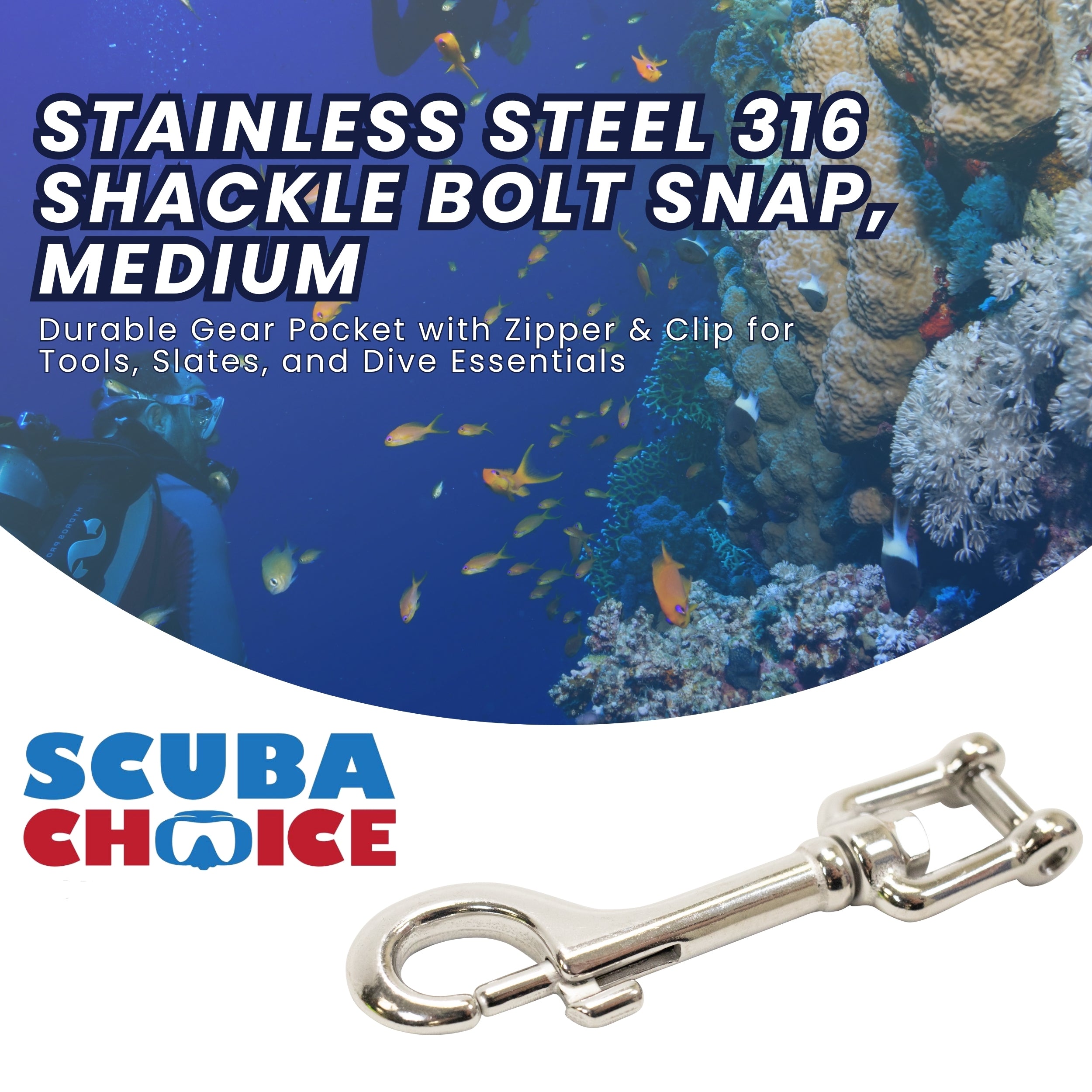 Scuba Diving Stainless Steel 316 Shackle Bolt Snap, Medium