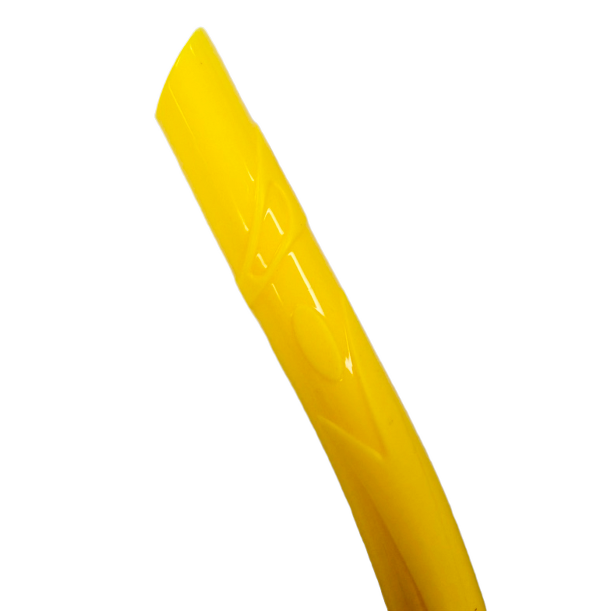 Scuba Choice Silicone Roll-up Nautilus Snorkel with Storage Container