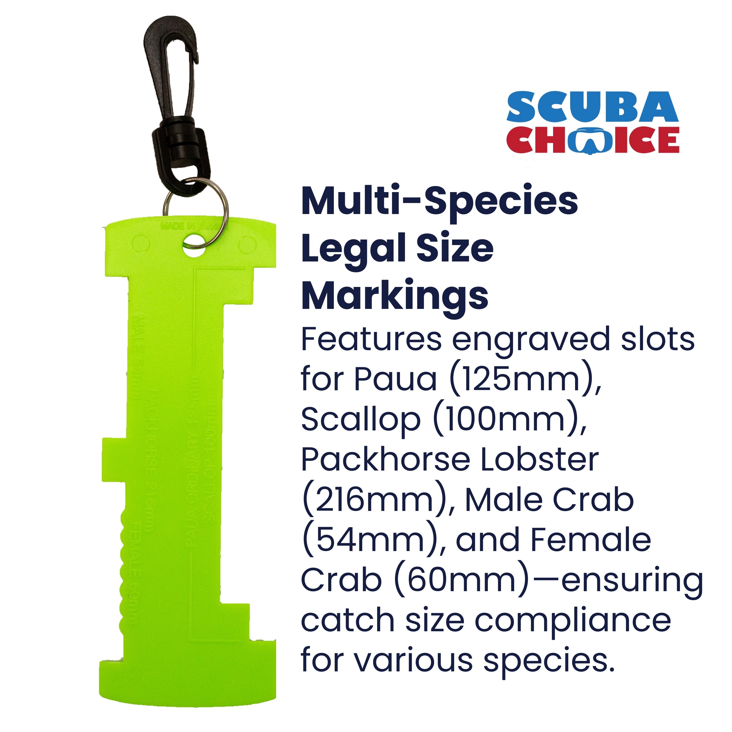 Scuba Diving Shellfish Measuring Gauge with Clip
