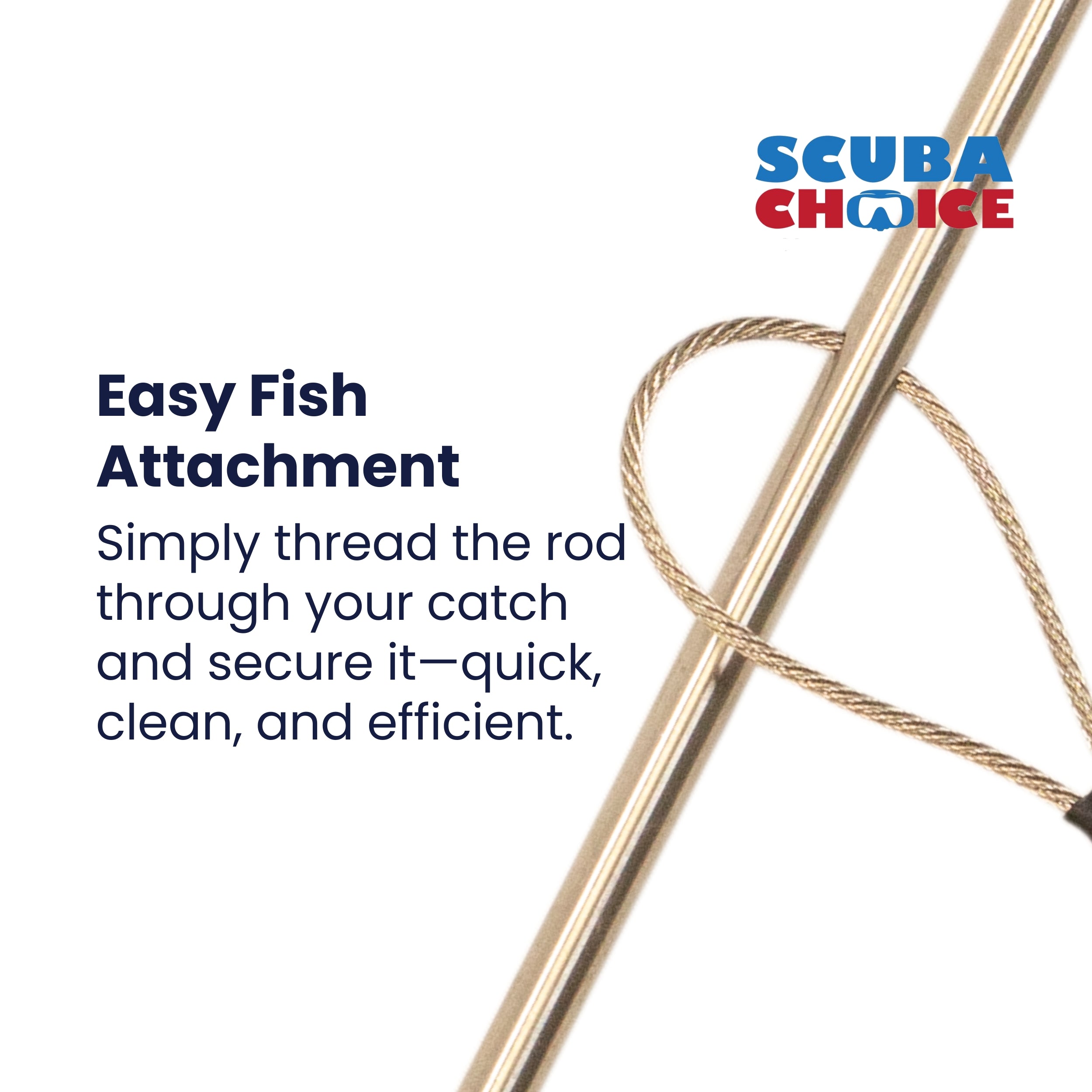 Spearfishing Compact Stainless Steel Fish Stringer Cable & 4.75" Rod