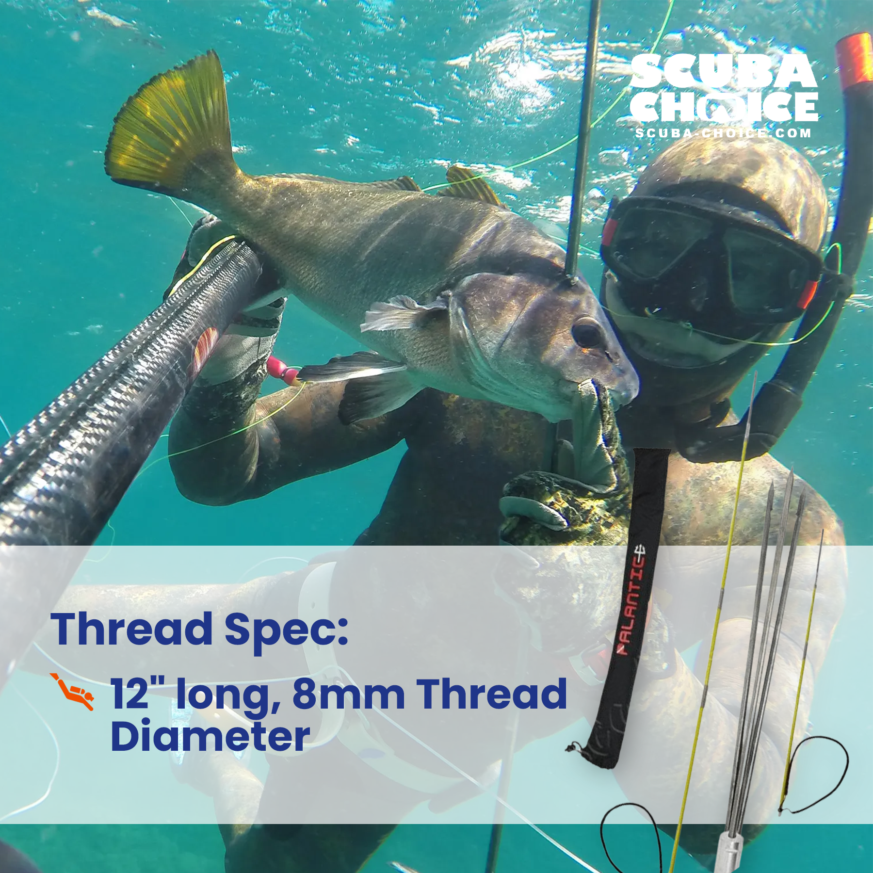 best travel pole spear small fish 6' Travel Spearfishing 3Piece Pole Spear 3 Prong Paralyzer Adjustable – Scuba Choice