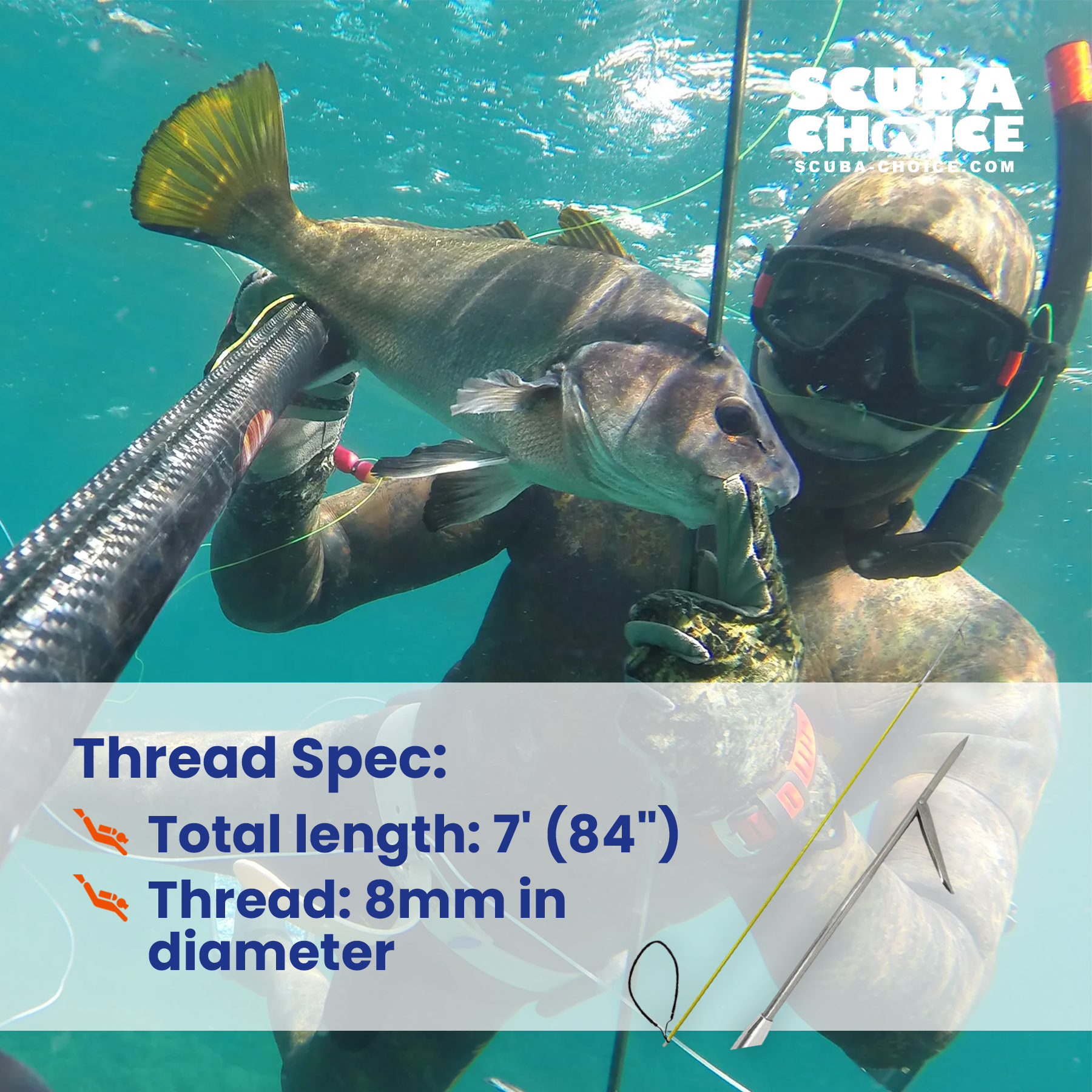 Tsunami Spear Fishing Rod Combo Spear Fishing Rod And Reel
